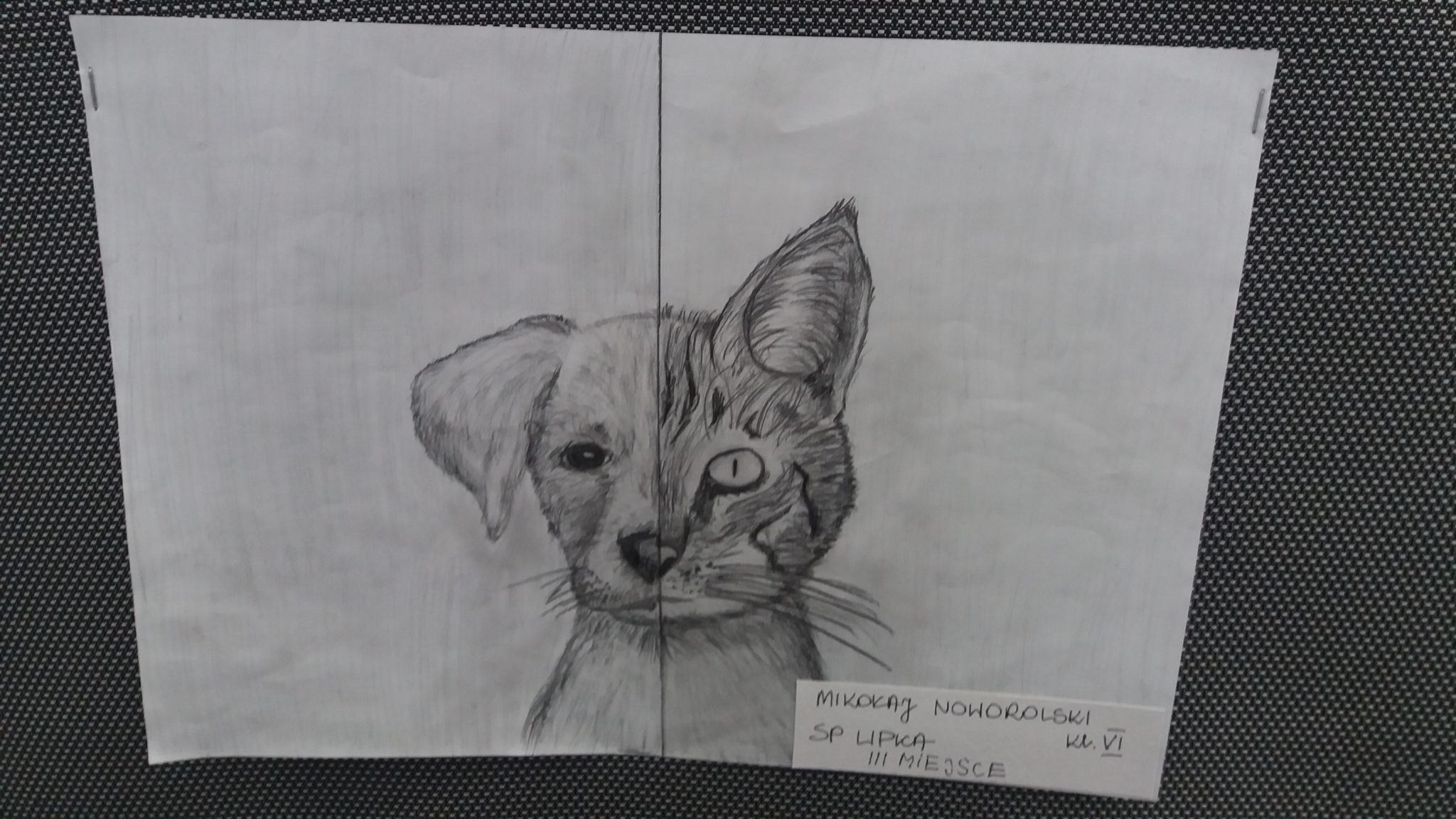 SUKCES NASZYCH MŁODYCH ARTYSTÓW﻿