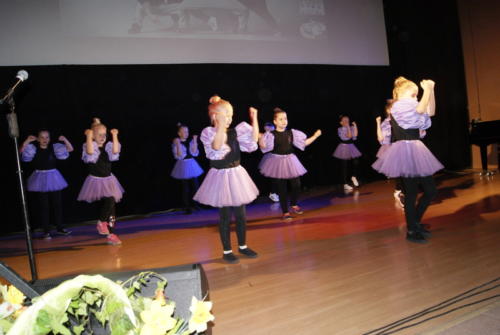 SONY DSC