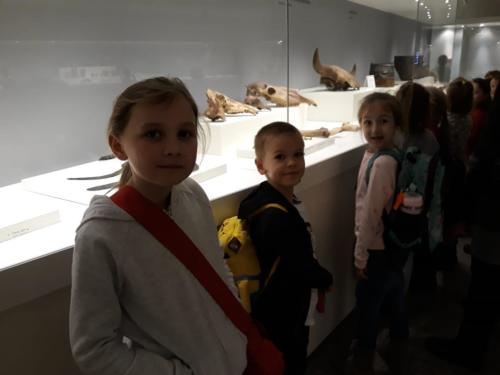 IMG-20181215-WA0007 (Copy)