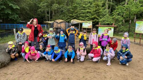 IMG 0198